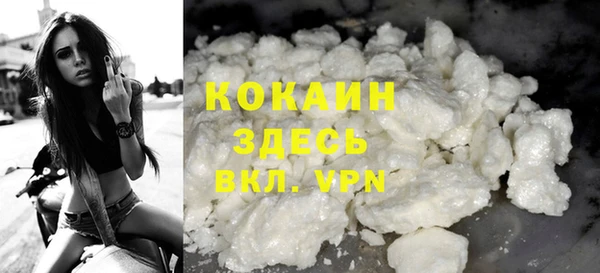 прущие грибы Теберда