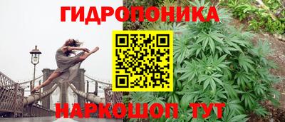 apvp Волжский
