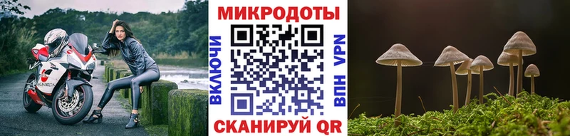 мега онион  Кострома  Псилоцибиновые грибы Cubensis 