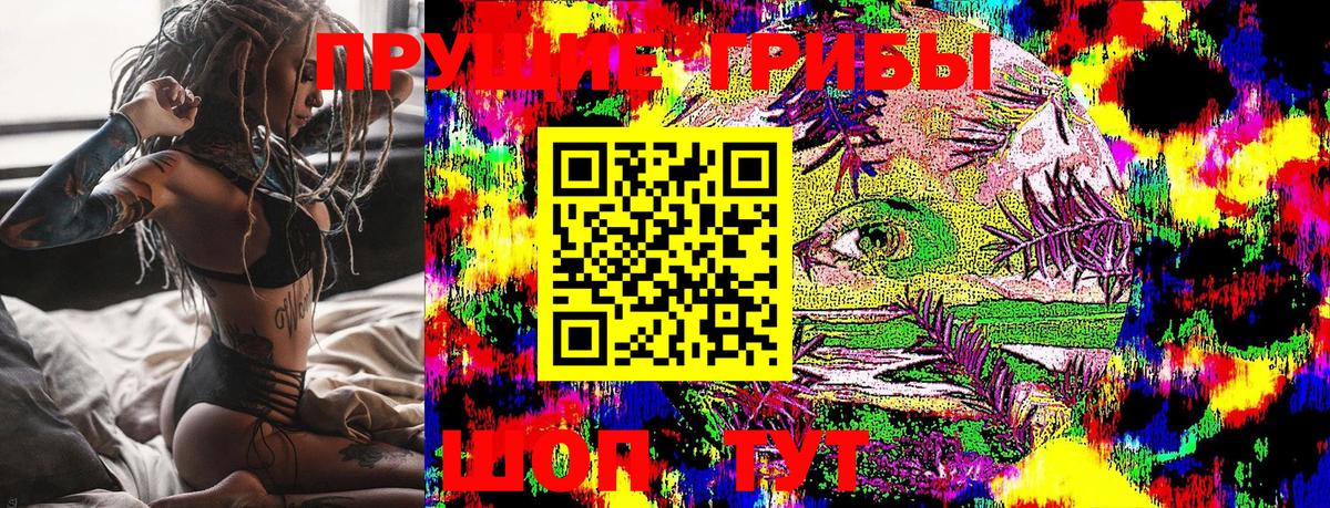хочу   Вход с VPN  Кострома  Псилоцибиновые грибы GOLDEN TEACHER  Галлюциногенные грибы Psilocybe 